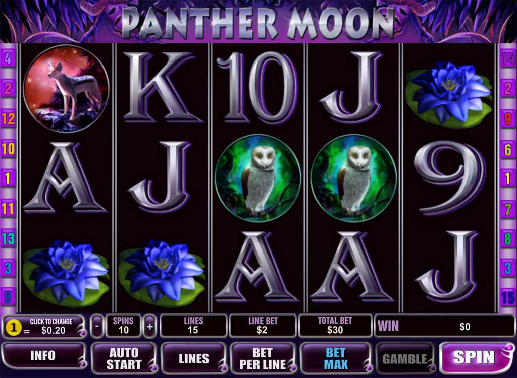 Jouer à Panther Moon
