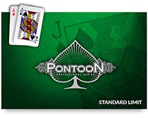 Pontoon Professional Series (Standard Limit)