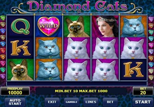 Machine à sous Diamond Cats