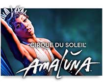 Cirque du soleil Amaluna