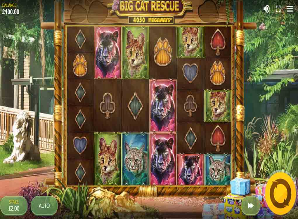 Jouer à Big Cat Rescue Megaways