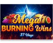Mega Burning 27 Ways