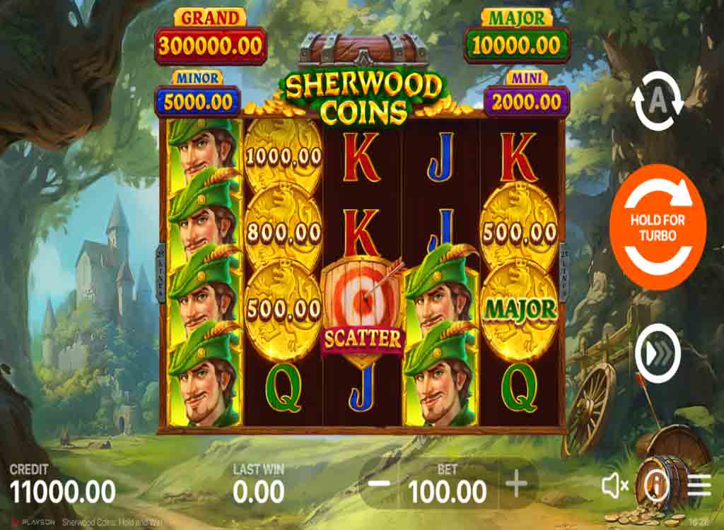 Jouer à Sherwood Coins: Hold & Win