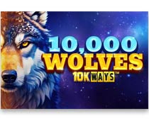 10,000 Wolves 10K Ways
