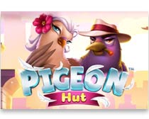 Pigeon Hut