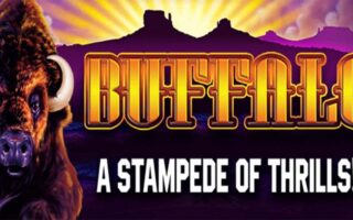 Buffalo BetMGM