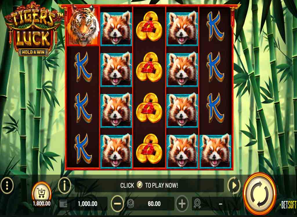 Jouer à Tiger’s Luck Hold & Win