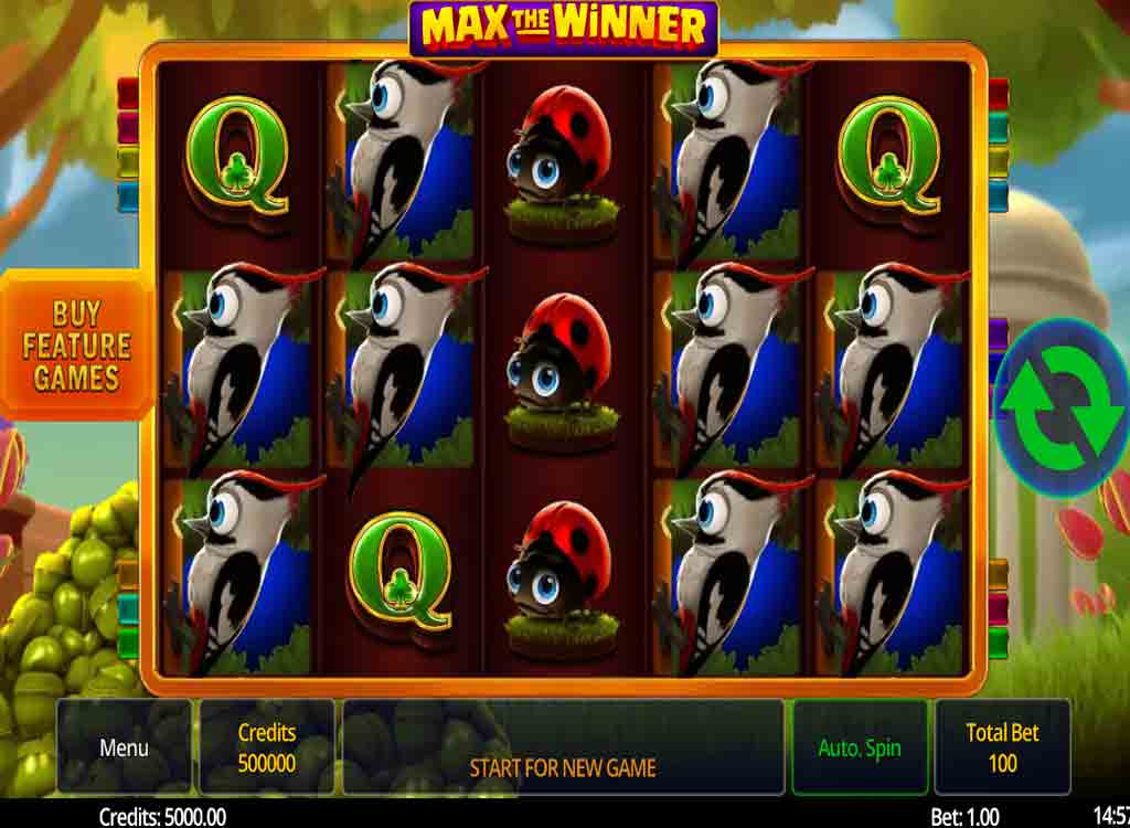 Jouer à Max the Winner