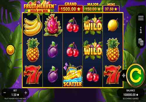 Machine à sous Fruit Heaven Hold and Win