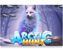 Artic Hunt