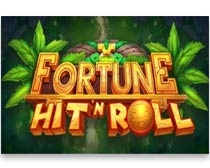 Fortune Hit 'N' Roll